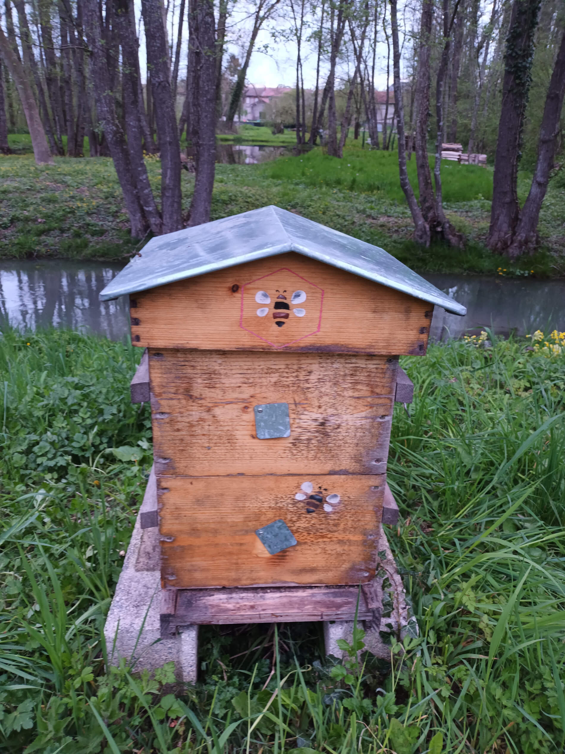 Une de nos ruches